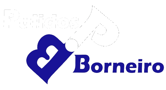 Pulidos Borneiro SL